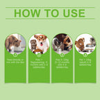 Pet Probiotic Tablets Improve Gut Health And Promote Nutritional Absorption Of Pet Care Supplements