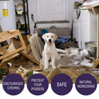 Anti-Chewing Bitter Spray For Pets, Prevent Dogs Tearing Apart Homes Scratching And Biting Long-Lasting Indoor Repellent Spray